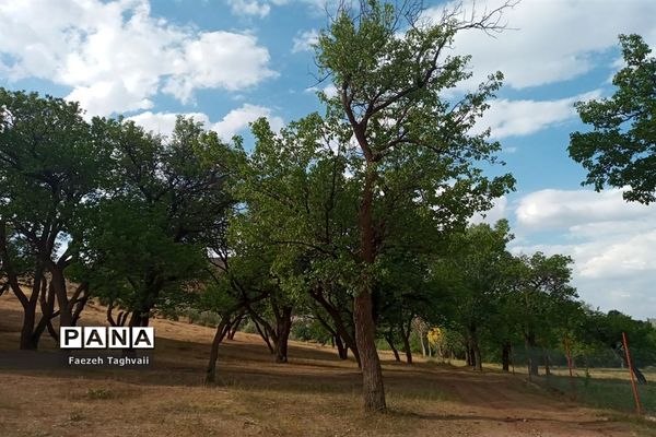 طبیعت زیبای دهستان قاضی کندی اوریاد