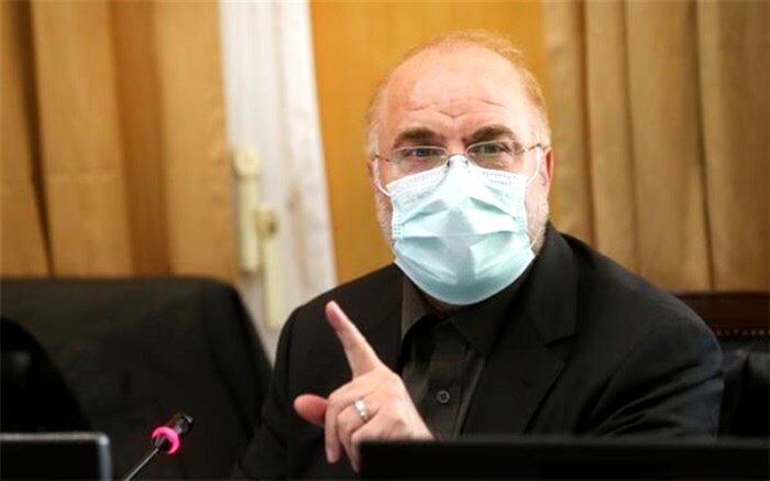 رییس مجلس در راس هیات پارلمانی وارد سوریه شد