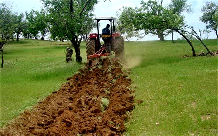 آتش سوزی گریبان کشاورزان گلستانی  را گرفت