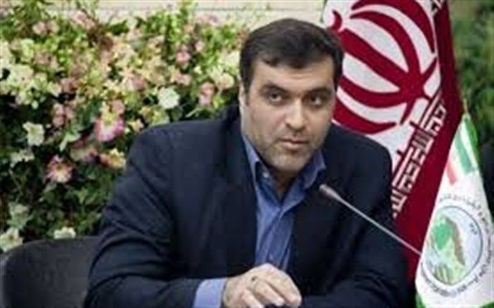 واکنش مشاور وزیر کشور به طرح جنجالی مجلس درباره فضای مجازی