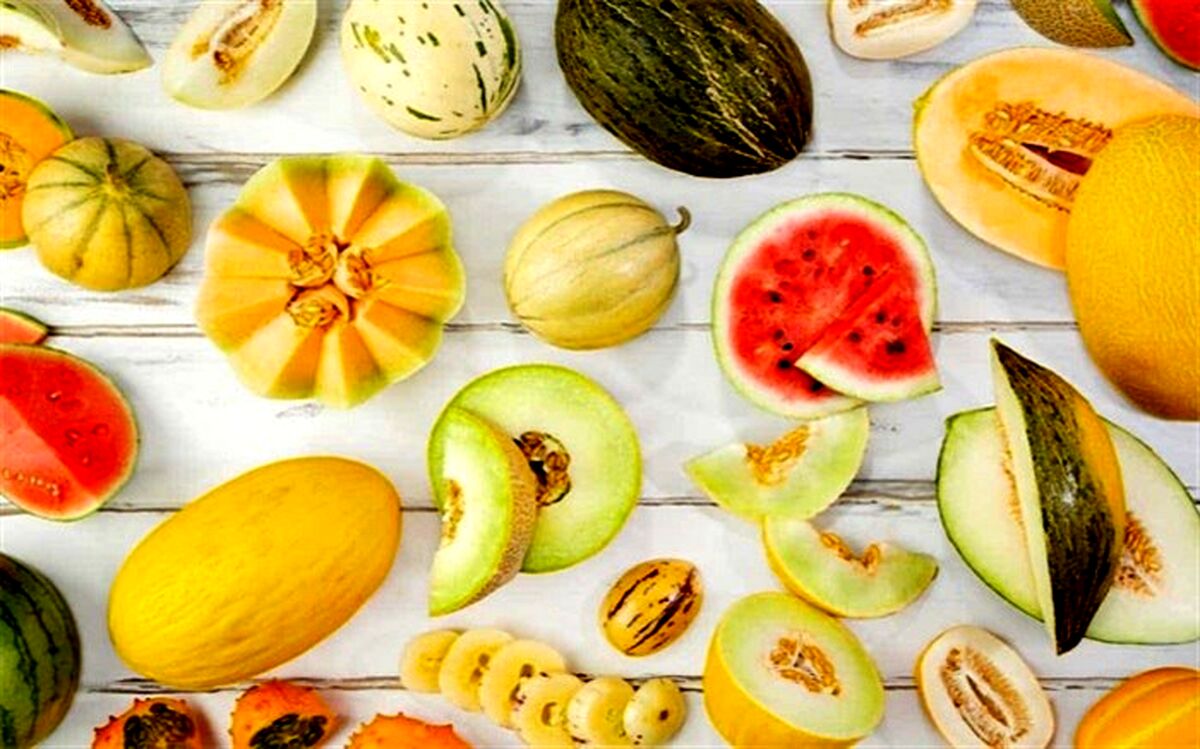 میوه‌ تابستانی شکم سیر کن