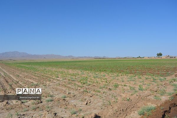 افتتاح پروژه آبیاری کم فشار در بخش ماژان شهرستان خوسف