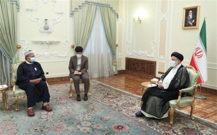 تاکید رئیس‌جمهوری بر نقش‌آفرینی اوپک در بازار جهانی نفت