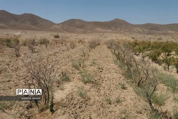 خشکی قنات روستای پایهان