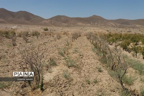 خشکی قنات روستای پایهان