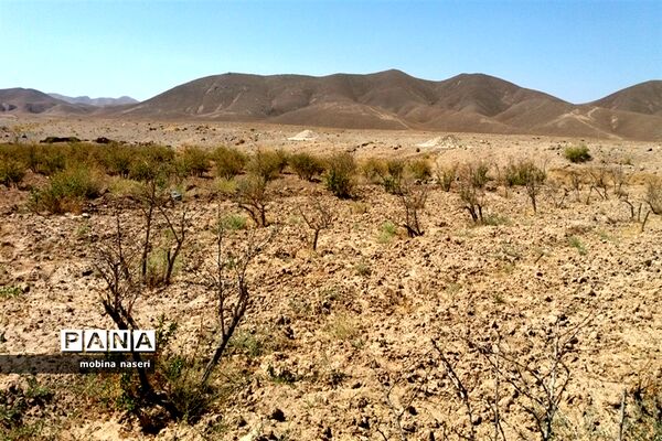 خشکی قنات روستای پایهان