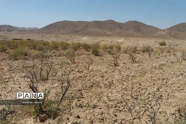 خشکی قنات روستای پایهان