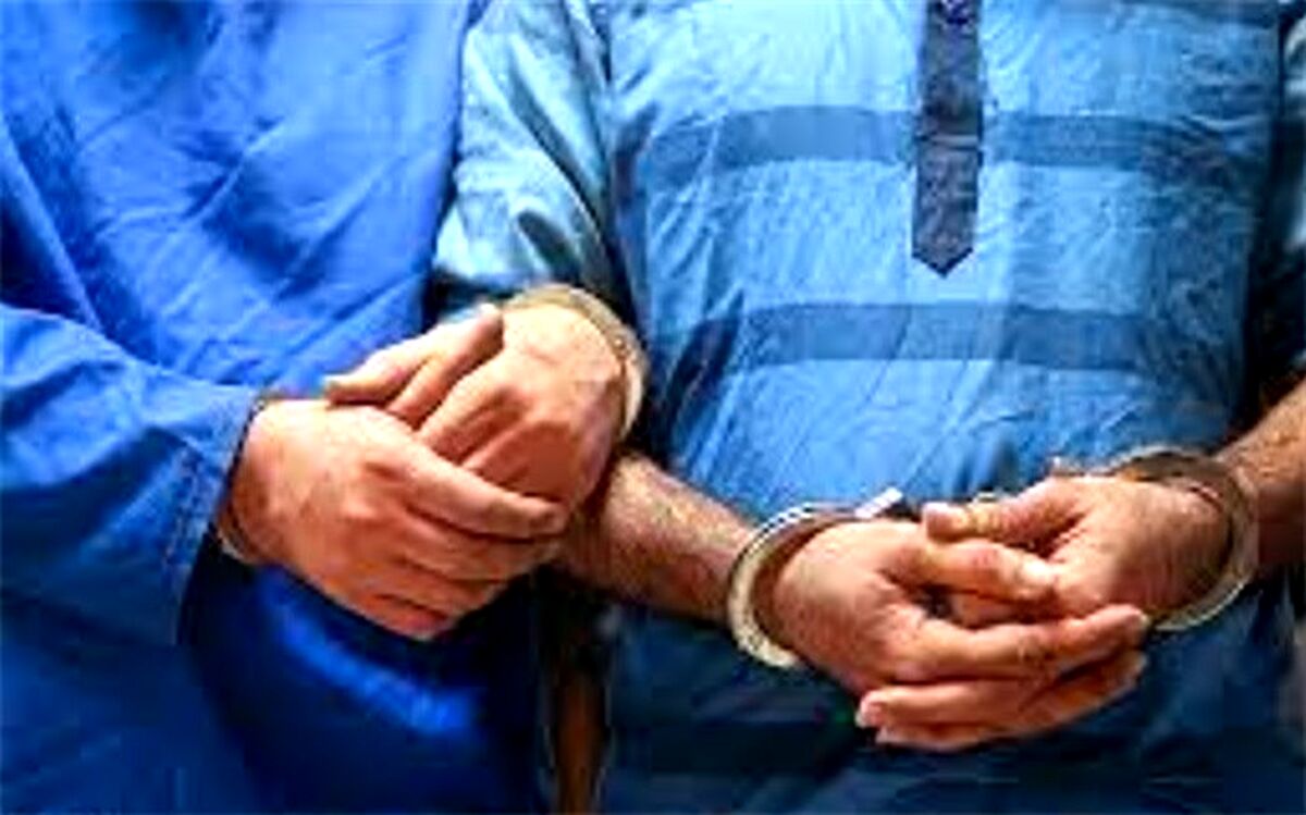 تصویب دو ماده از طرح اصلاح قانون مجازات اخلالگران اقتصادی