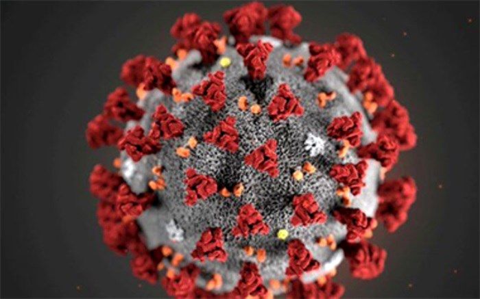 بستری 893 بیمار در بخش‌های کرونایی در بیمارستان‌های استان بوشهر