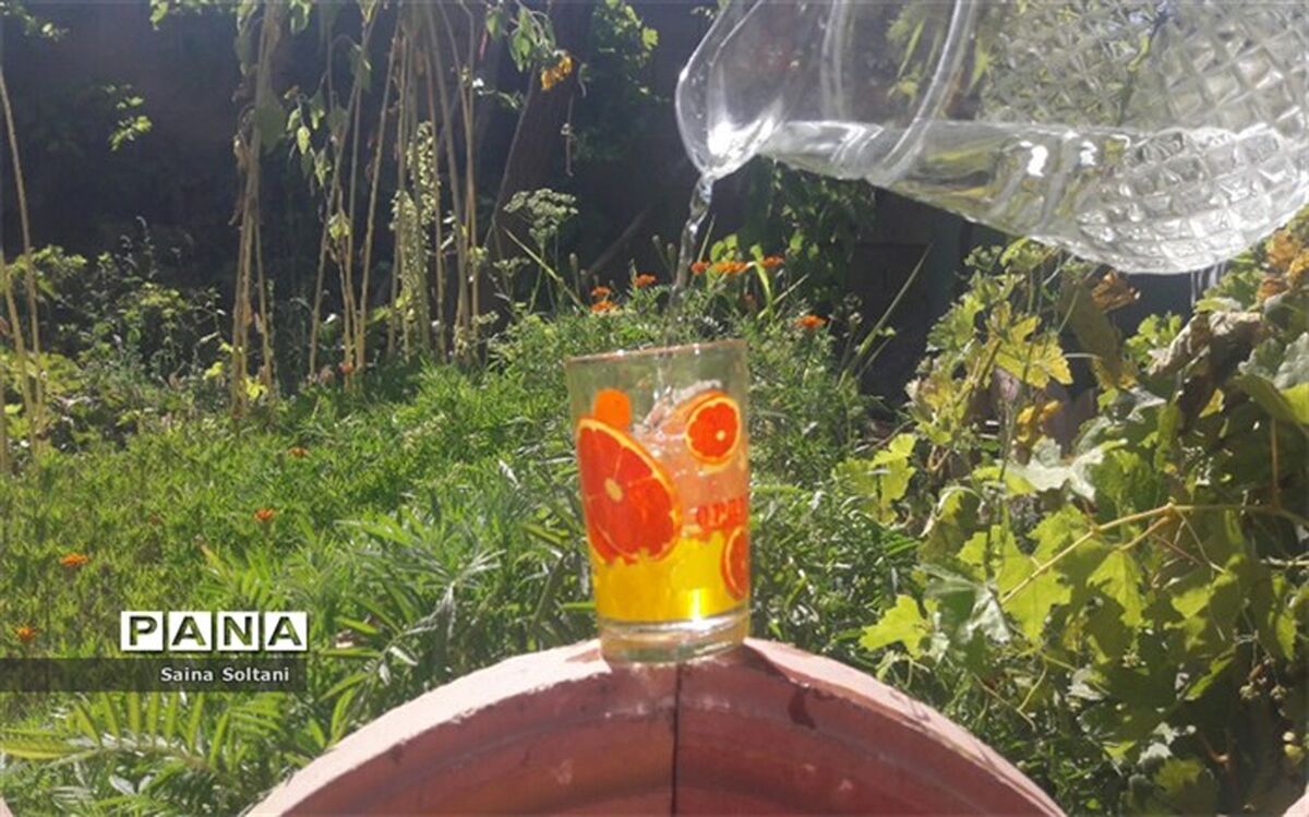 چرا نباید همراه غذا آب خورد