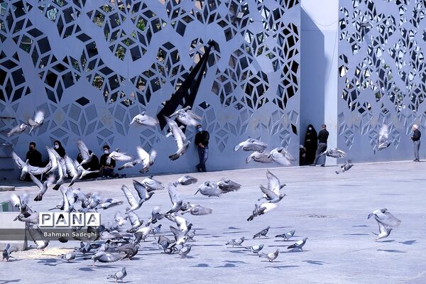 عزاداری و اقامه نماز ظهر عاشورا در میدان امام حسین (ع)