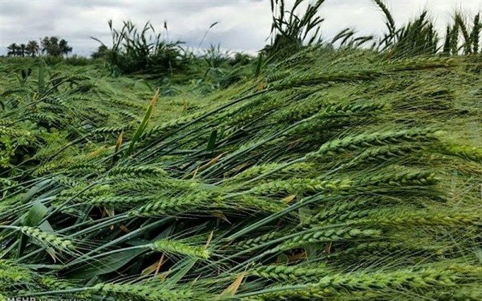 یکی از مهم‌ترین تاثیرات تغییر اقلیم، تاثیر بر زیست بوم منطقه است