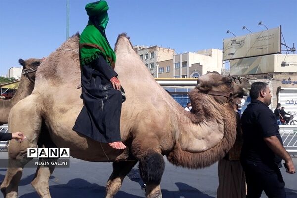 حرکت کاروان نمادین اسرای کربلا در قم