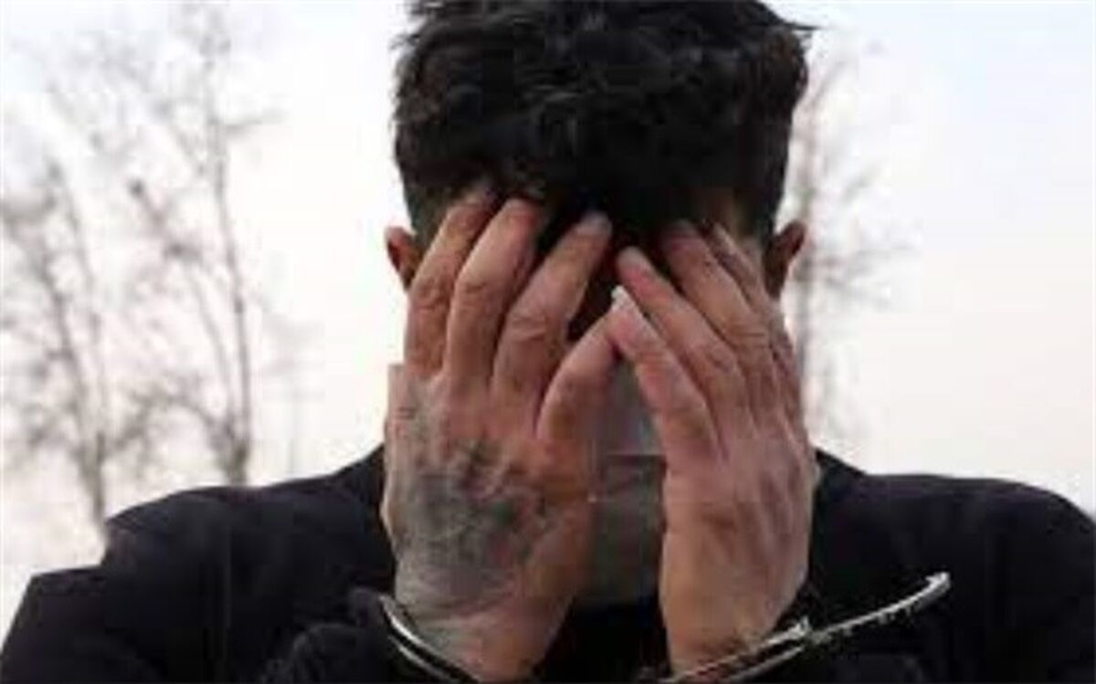 سارقی که در دیوار مخفی می‌شد
