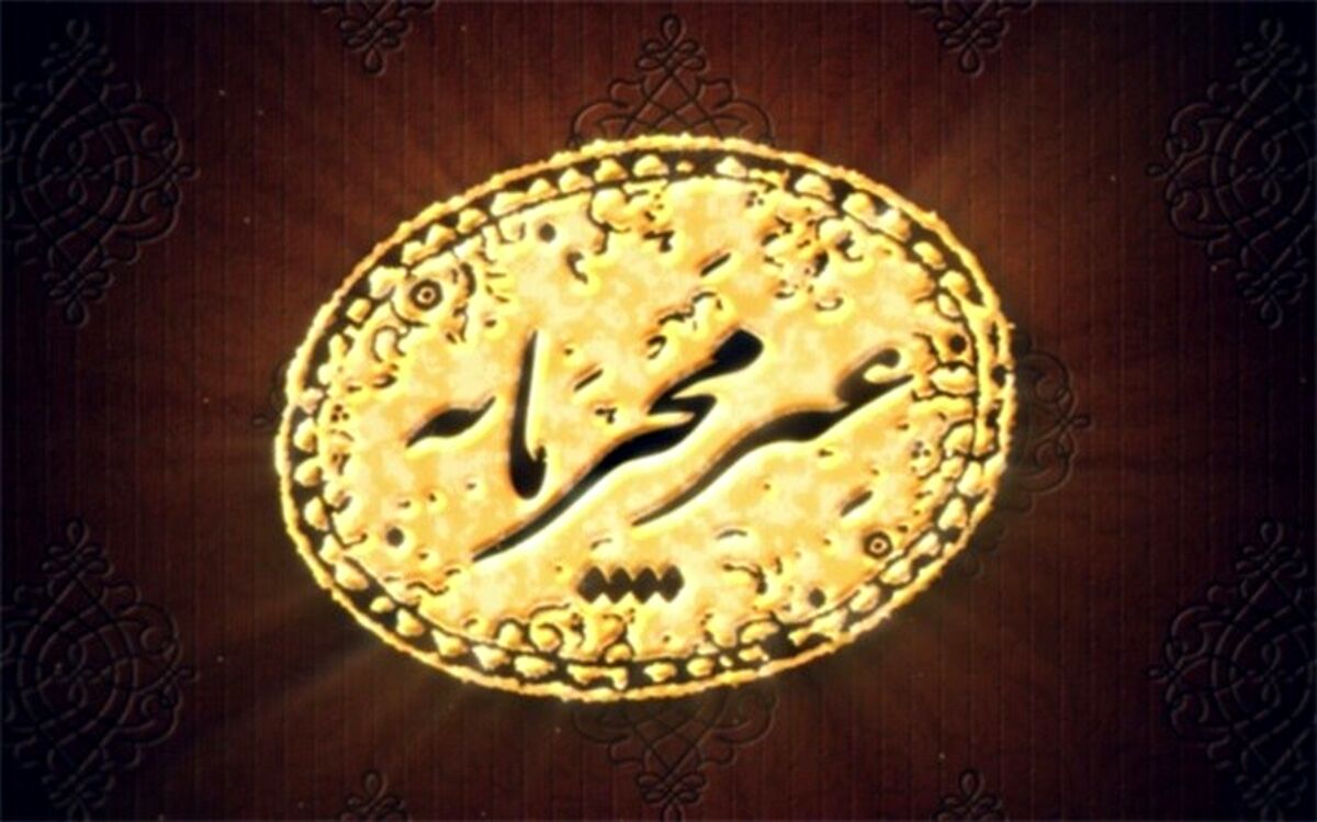واکاوی اقتصاد خرد ومشاغل خانگی در«غیرمحرمانه»