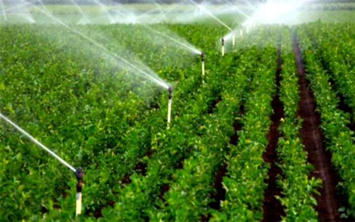 طرح انتقال آب به زمین‌های کشاورزی در شهر کاج