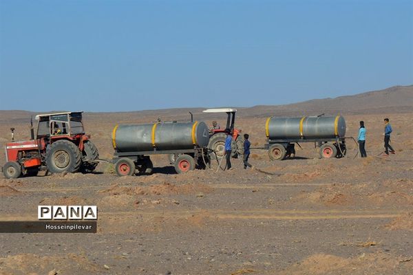 پروژه نهالکاری در منطقه شهرستان خور