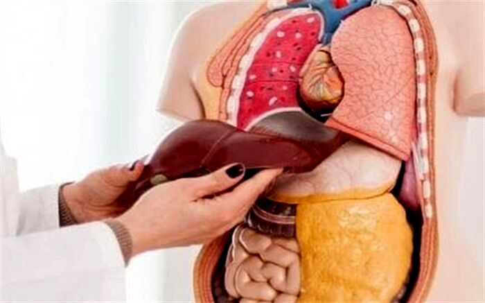 بدون این 10 عضو هم زنده می مانید!