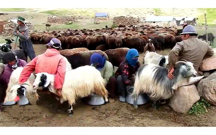بازگشت عشایر سهند به قشلاق های آذربایجان‌شرقی