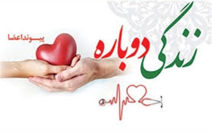 اعضای بدن بیمار مرگ مغزی به بیماران نیازمند اهدا شد