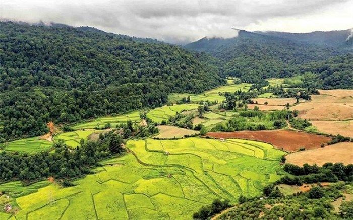 صدور سند «آق‌مشهد» ساری به نام سازمان جنگل‌ها