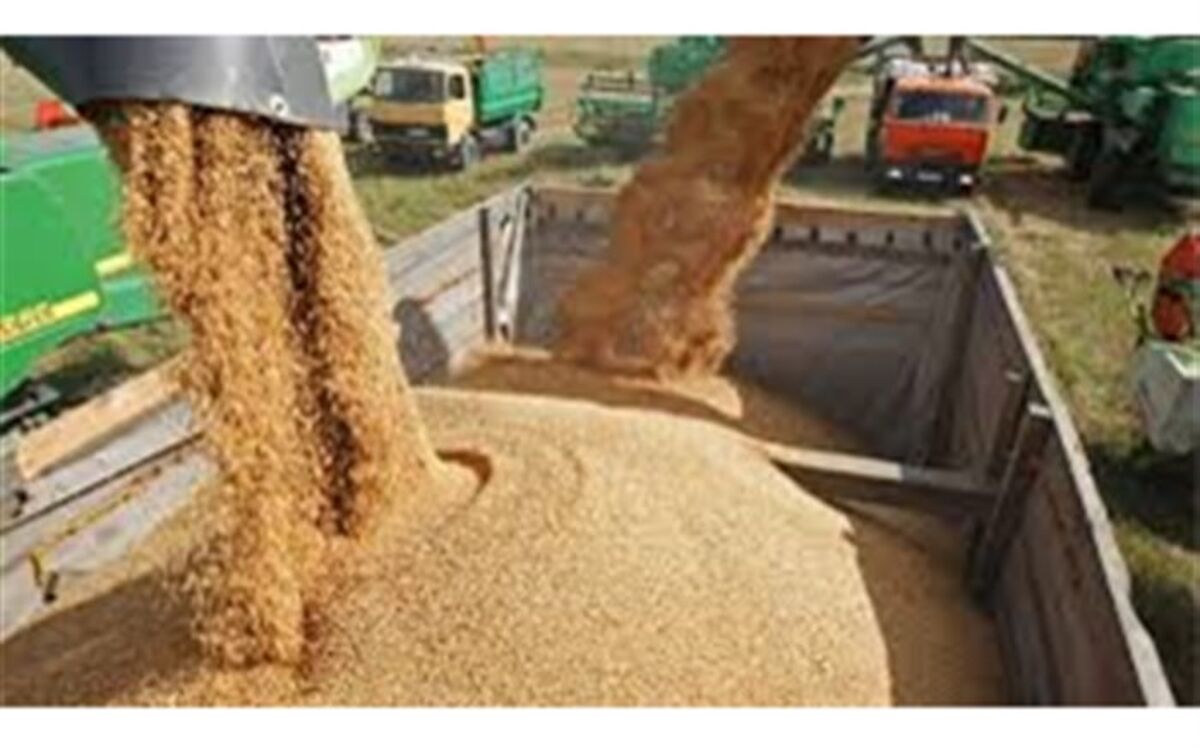 سیاست ارزی دولت جدید در حوزه کالاهای اساسی تعیین تکلیف شود