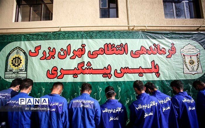دستگیری ۶٠١ سارق و مالخر در پایتخت