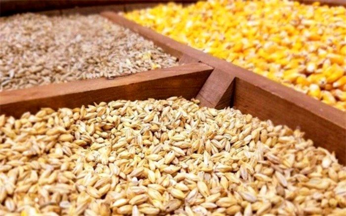 سامانه بازارگاه در تحقق اهداف خود ناکارآمد عمل کرده است