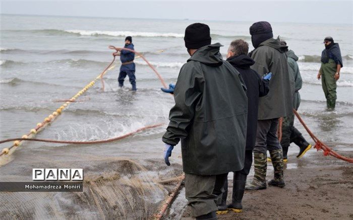 کاهش 20 درصدی دورریز آبزیان توسط صیادان