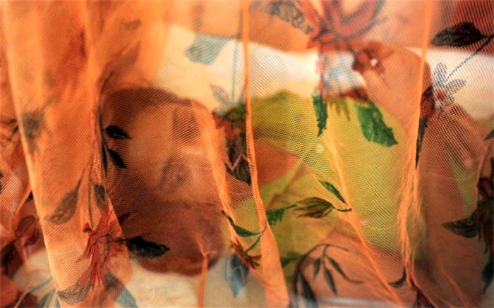 نگرانی از وقوع یک اپیدمی شبیه کرونا در جهان