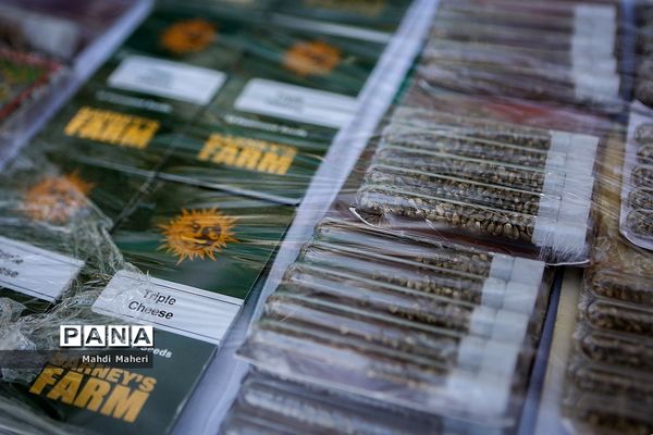 مرحله سیزدهم طرح ظفر