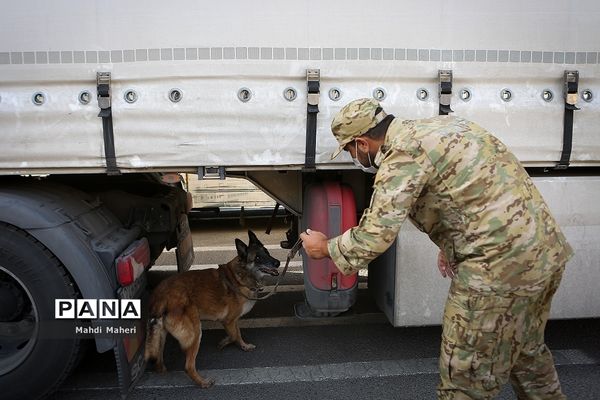 مرحله سیزدهم طرح ظفر