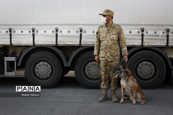 مرحله سیزدهم طرح ظفر