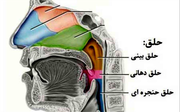 راهکارهای خلاصی از خلط