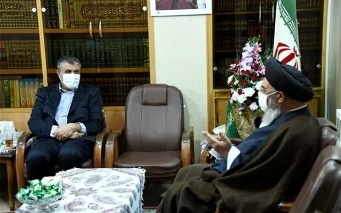 مردم منتظرند ببینند چه زمانی انرژی هسته‌ای به تولید برق کمک می‌کند