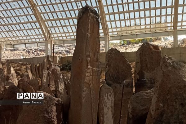 منطقه باستانی شهریئری