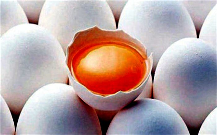 ۱۰ هزار تن تخم مرغ وارد می شود