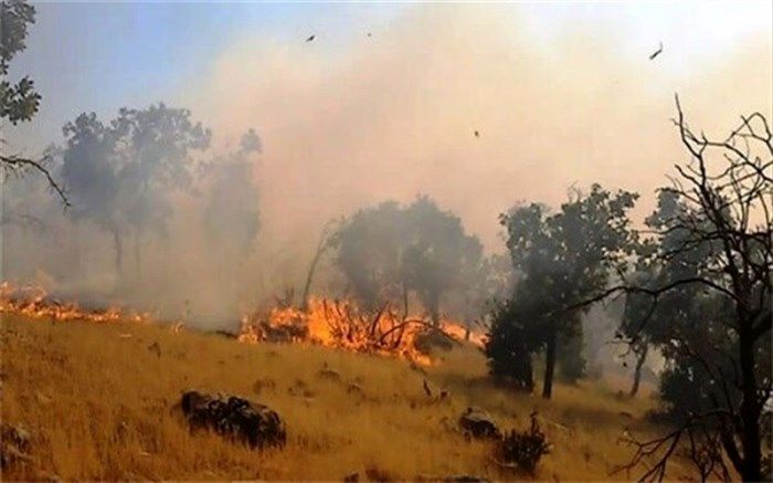 آتش‌سوزی مراتع و جنگل‌های کوه نیر در منطقه لوداب کهگیلویه و بویراحمد
