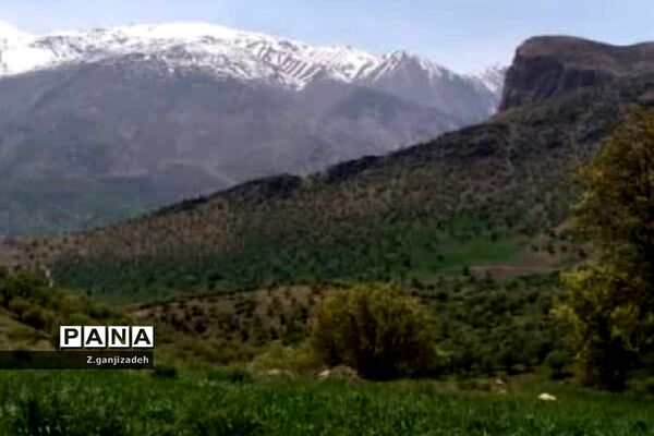 جاذبه های طبیعی روستای مَمَسَنی