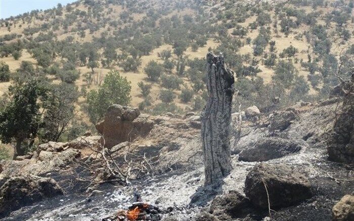 مهار آتش‌سوزی جنگل‌ها و مراتع کوه نیر در منطقه لوداب بویراحمد
