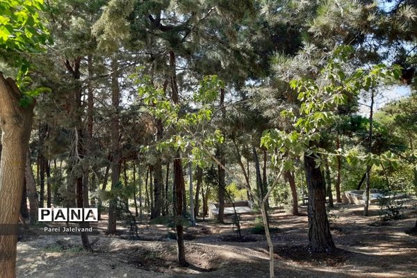 پارک طالقانی