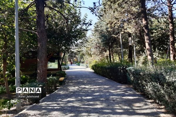 پارک طالقانی