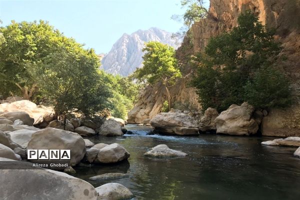 طبیعت زیبای نورآباد ممسنی استان فارس