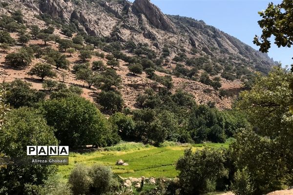 طبیعت زیبای نورآباد ممسنی استان فارس