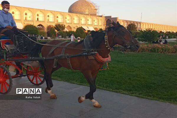 میدان امام اصفهان نمونه‌ای از معماری ایرانی و اسلامی