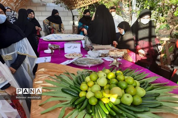 بازدید معاون رئیس جمهور از روستای گردشگری طویبه