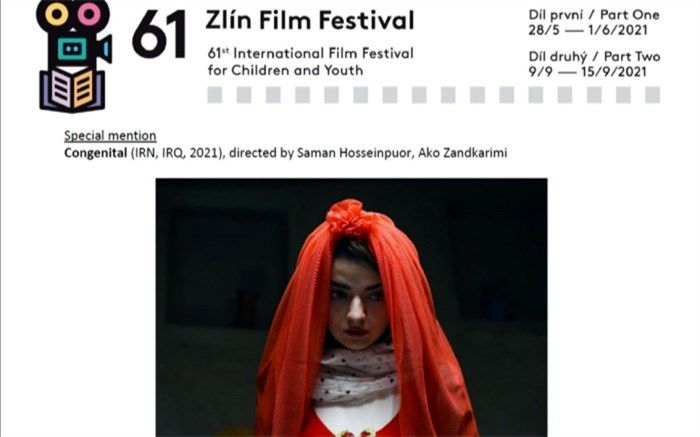 جایزه ویژه هیات داوران جشنواره زلین به برادران سامکو رسید