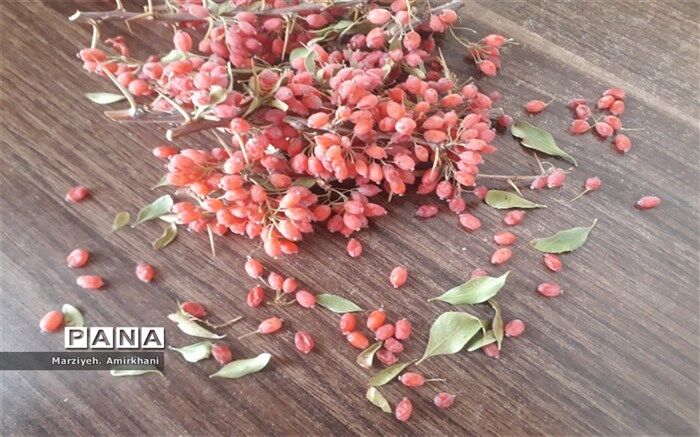 خواص  شگفت انگیز مصرف زرشک