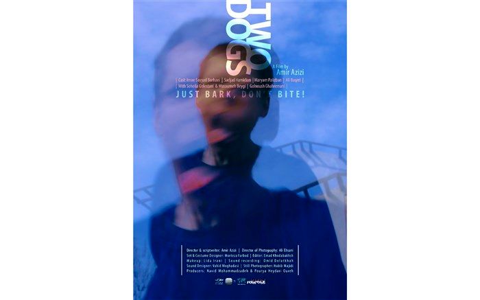 «دو سگ» امیر عزیزی به تهیه‌کنندگی نوید محمدزاده در جشنواره فیلم ورشو