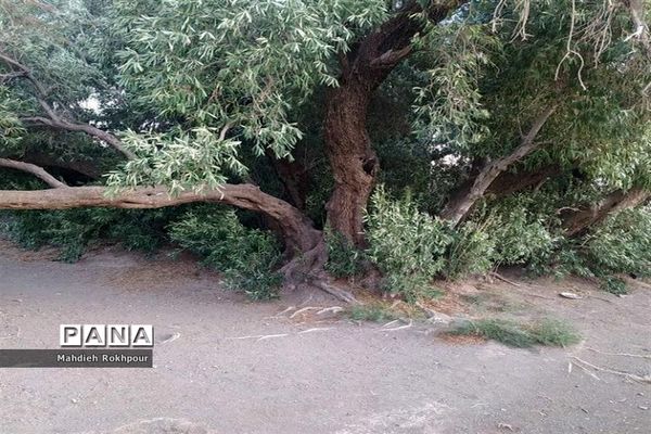 آستان مقدس و گردشگری امامزاده شمس الدین فسون